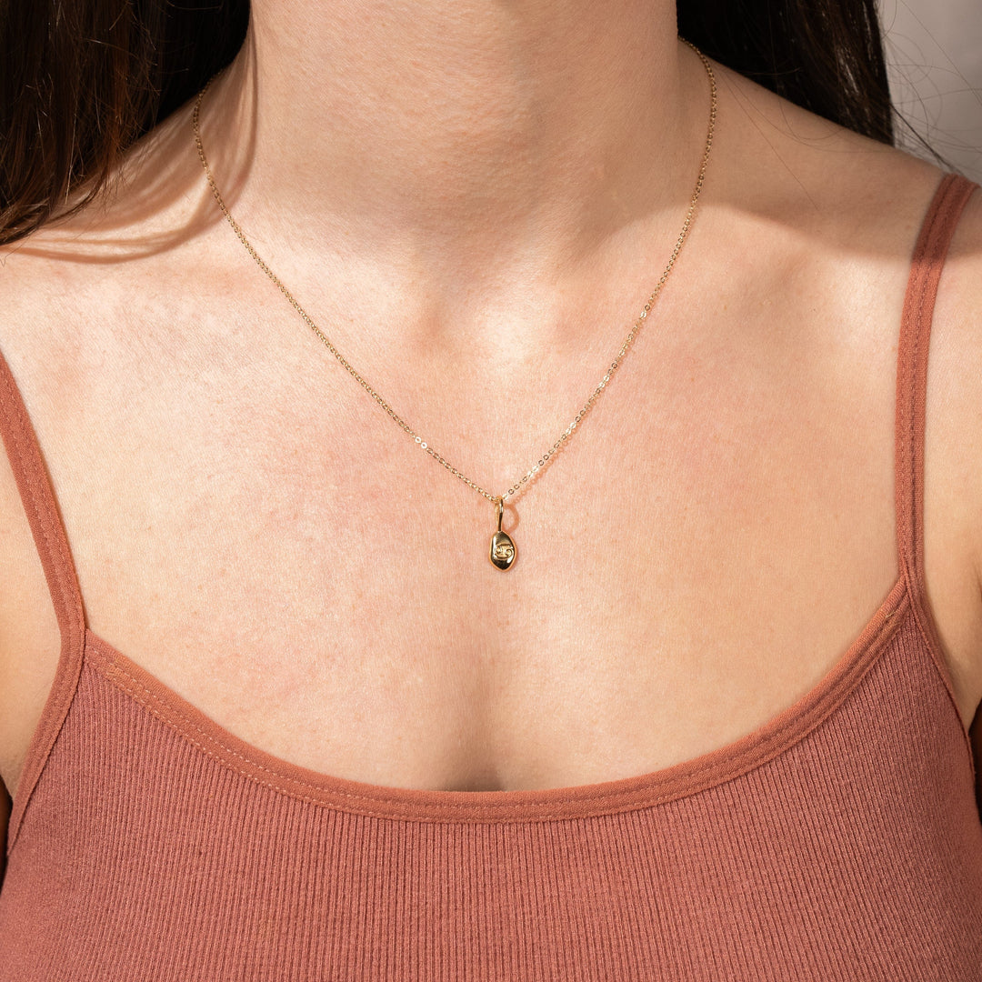 Zodiac Pebble Necklace