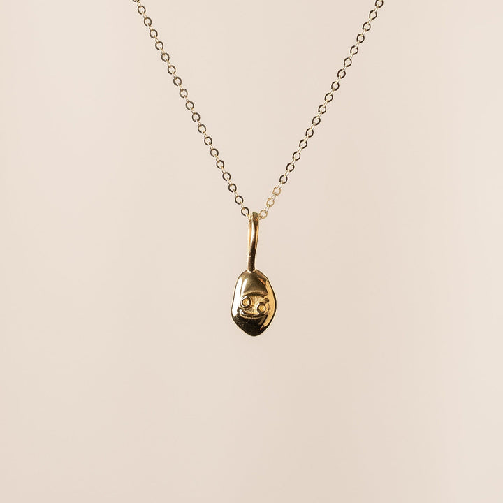 Zodiac Pebble Necklace